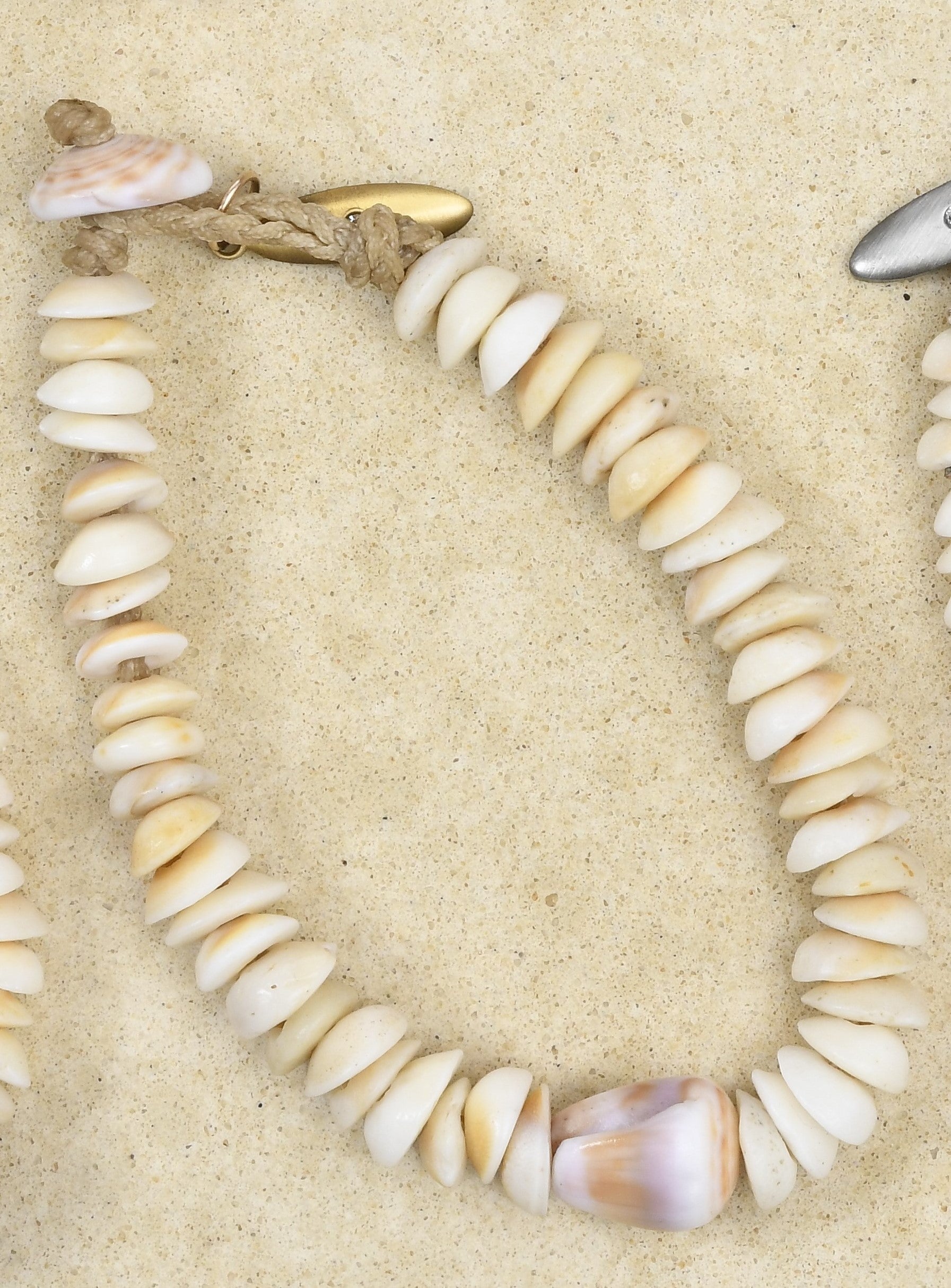💙Original design Operculum anklet/bracelet with Purple cone shell