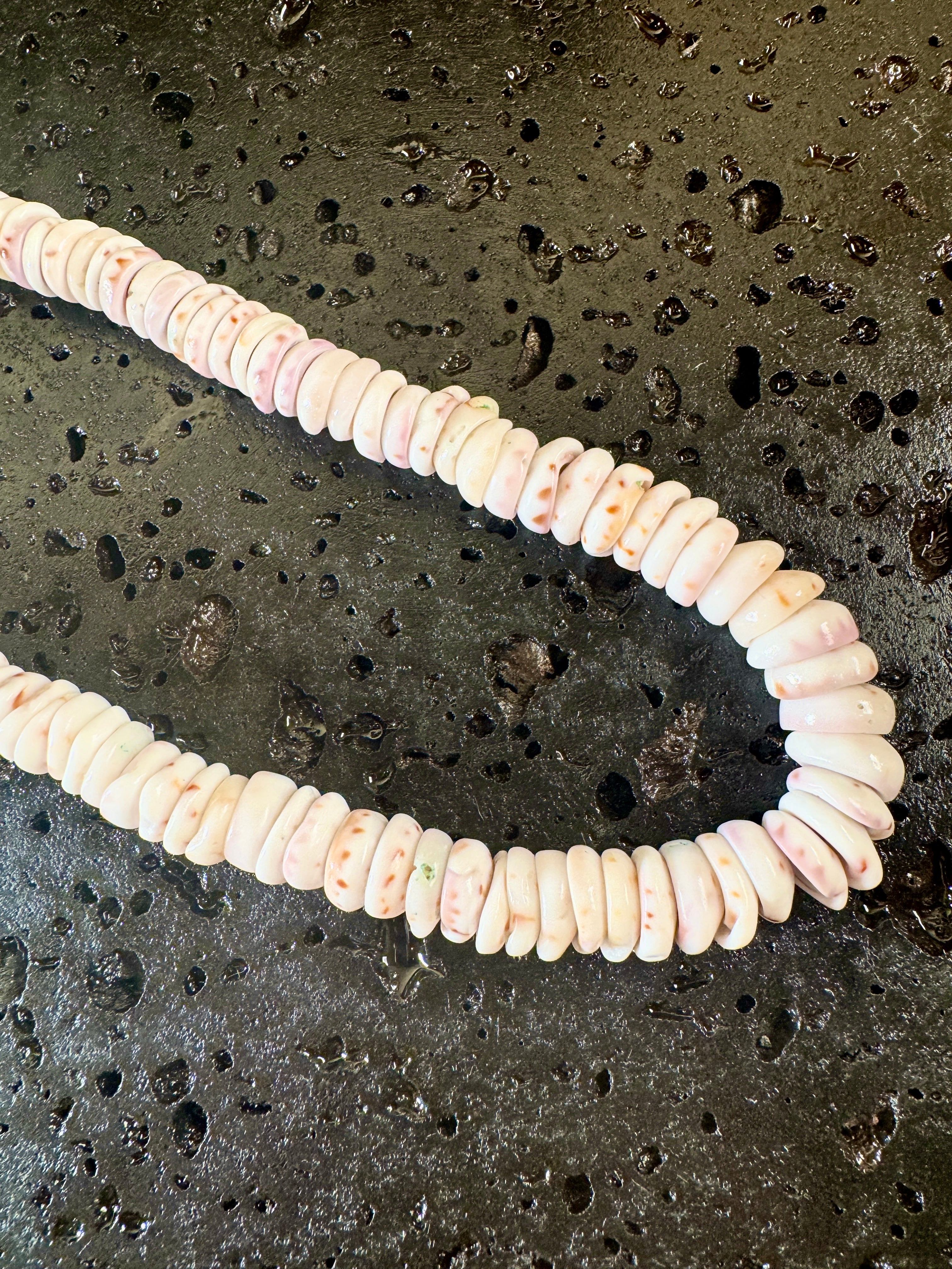 Unisex Rat Cone Pu·ka /ˈpo͞okə lei