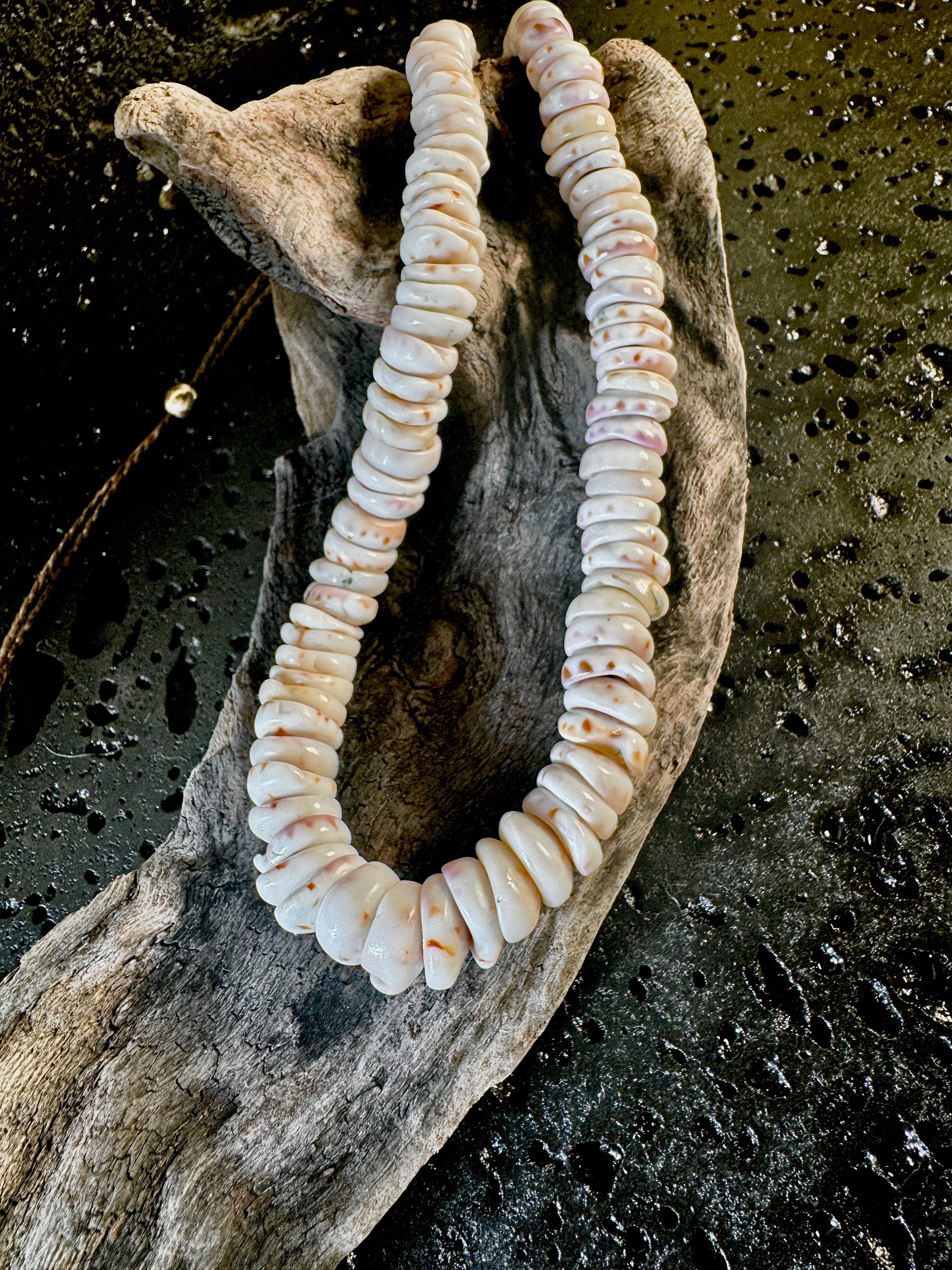 Unisex Rat Cone Pu·ka /ˈpo͞okə lei