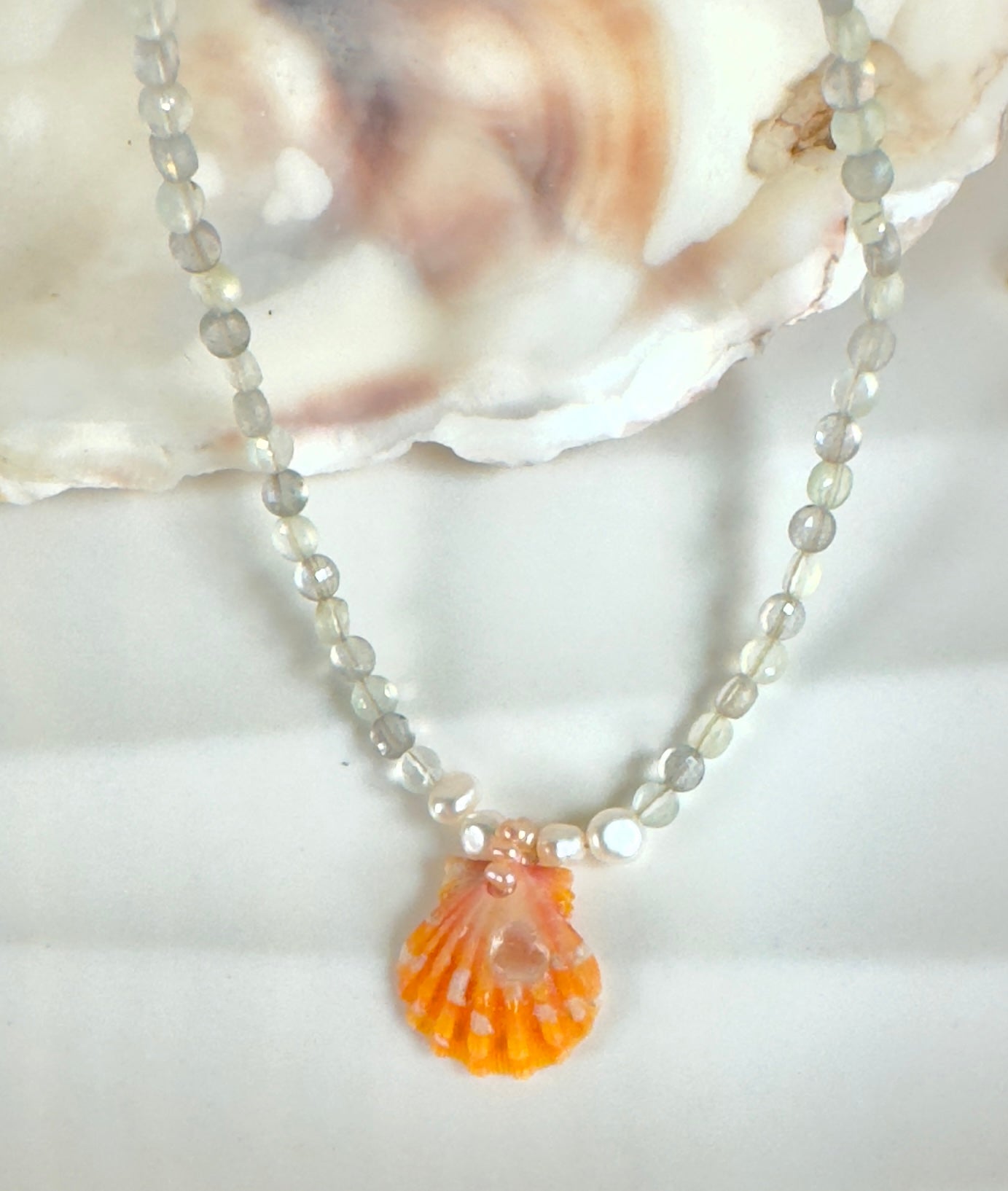 5 Gemstones and a Sunrise Shell