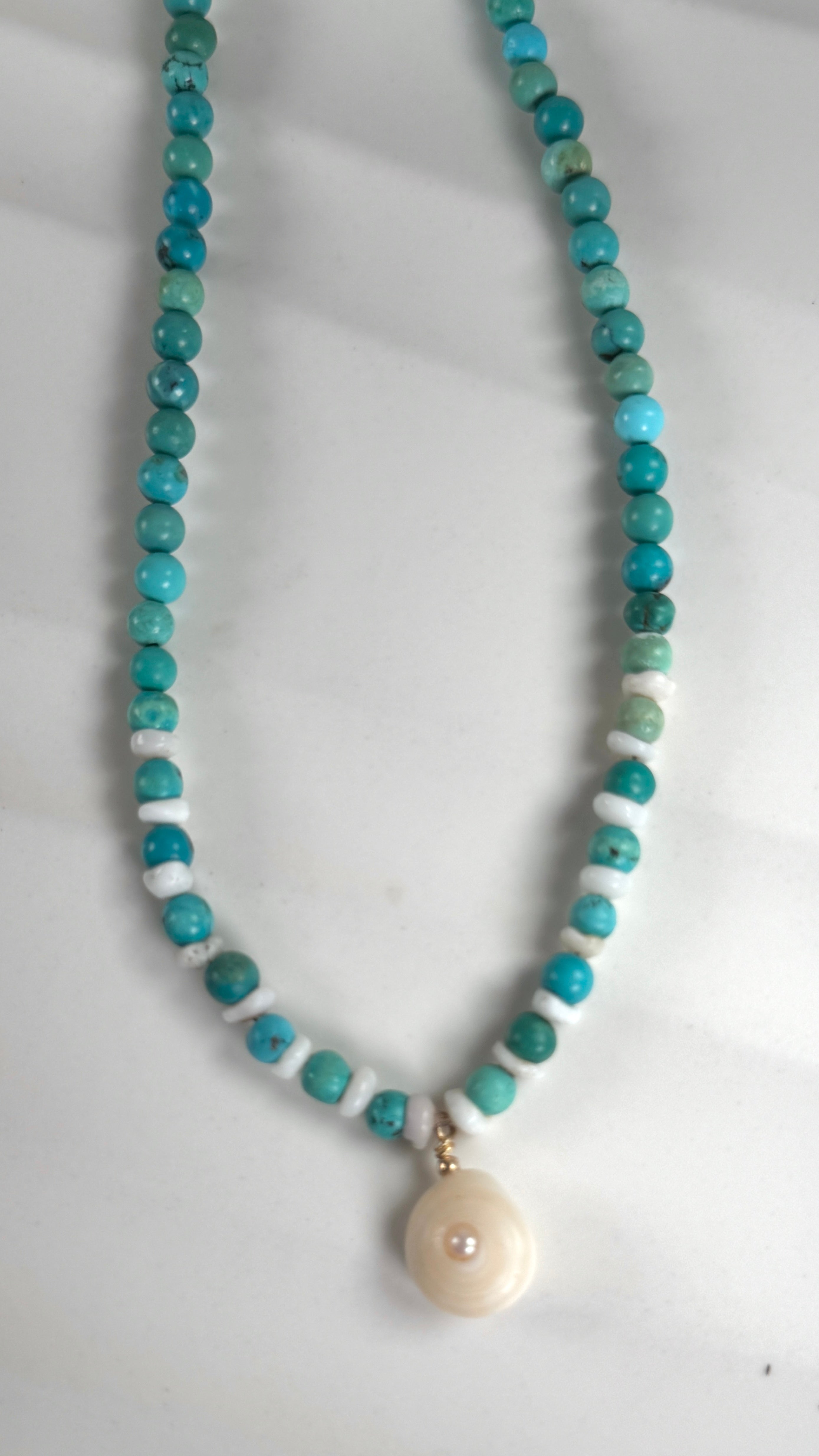 Turquoise 💙 Pu·ka /ˈpo͞okə