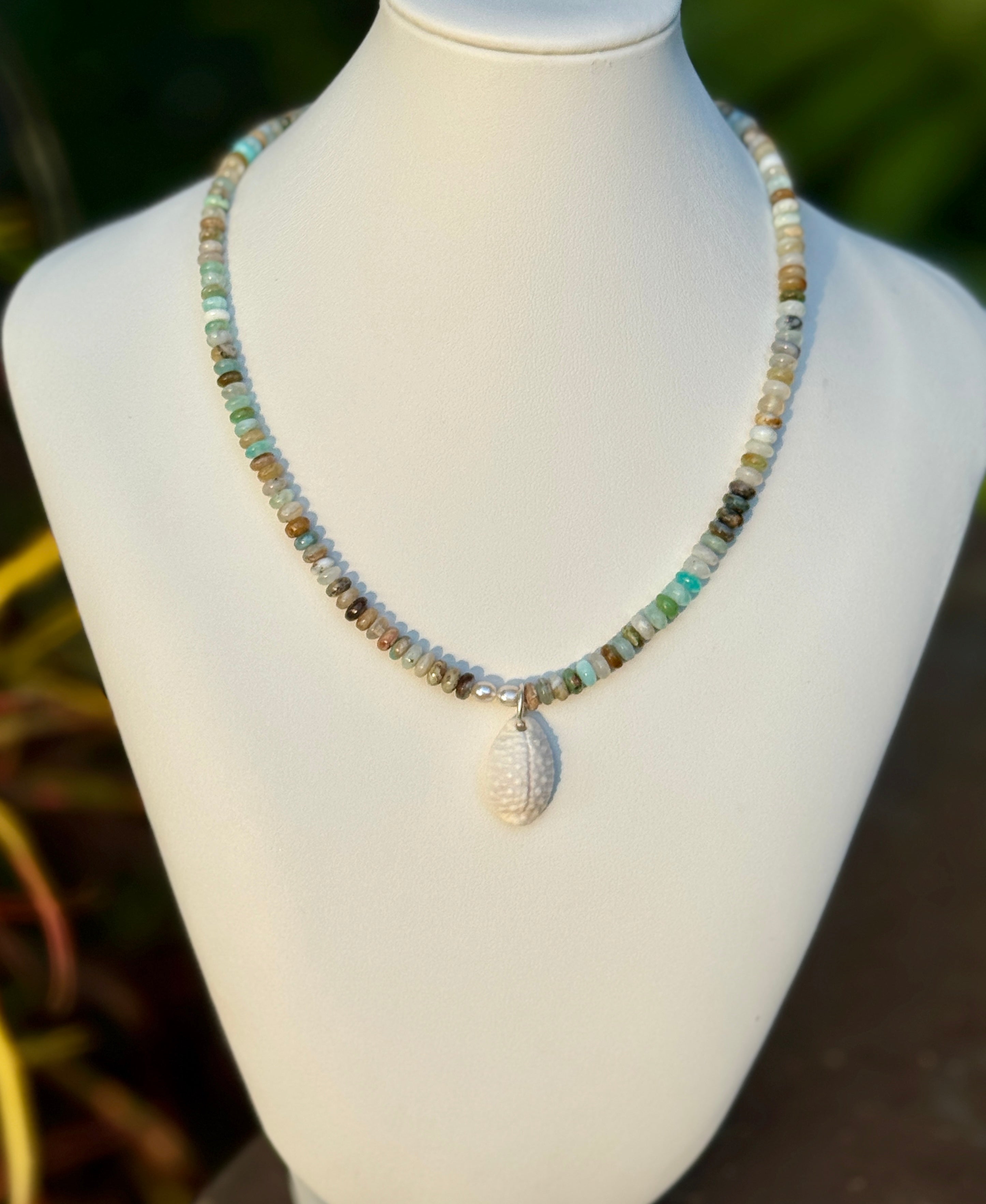 Blues and a Maui Granulated Cowrie
