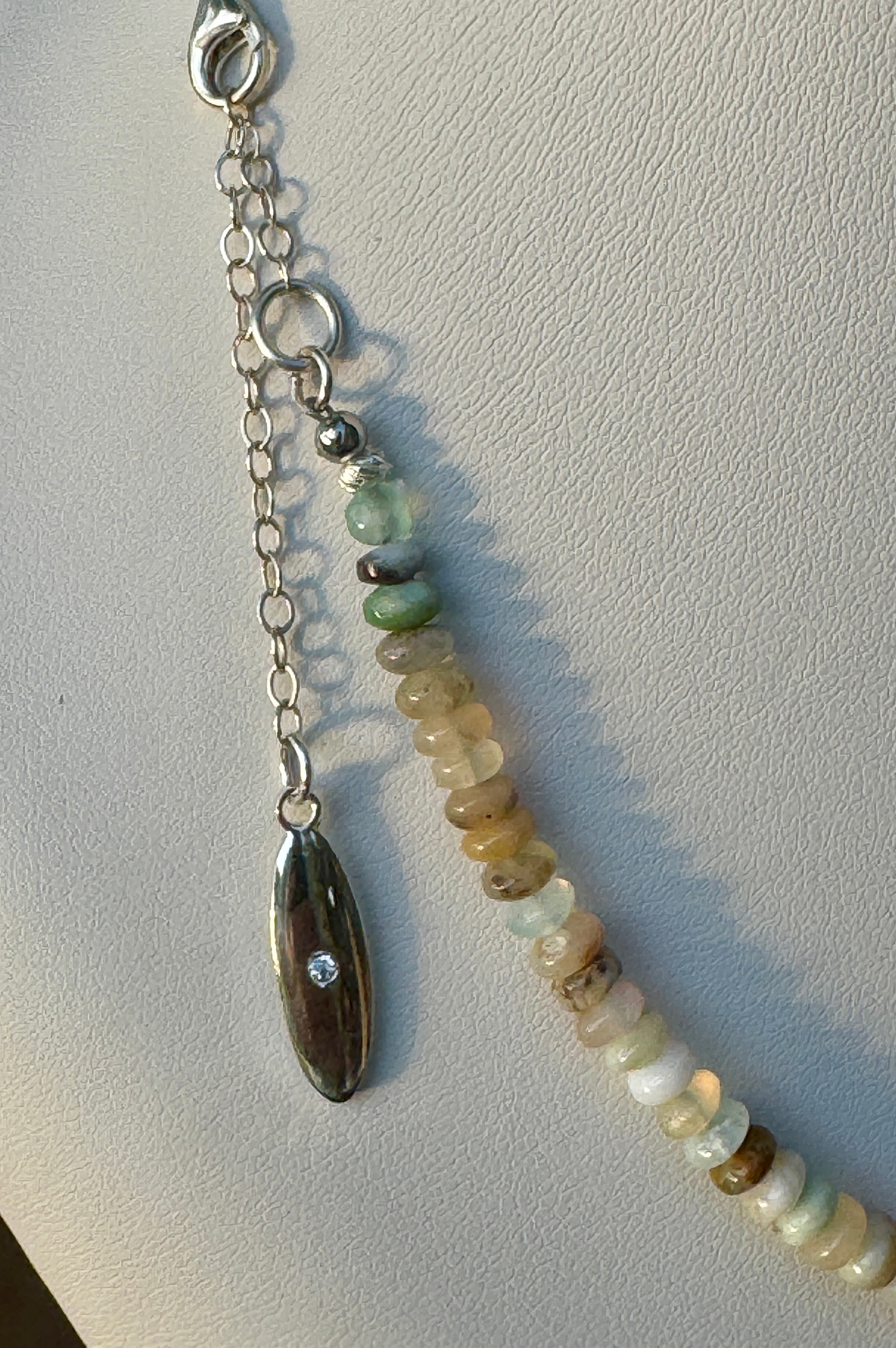 Blues and a Maui Granulated Cowrie