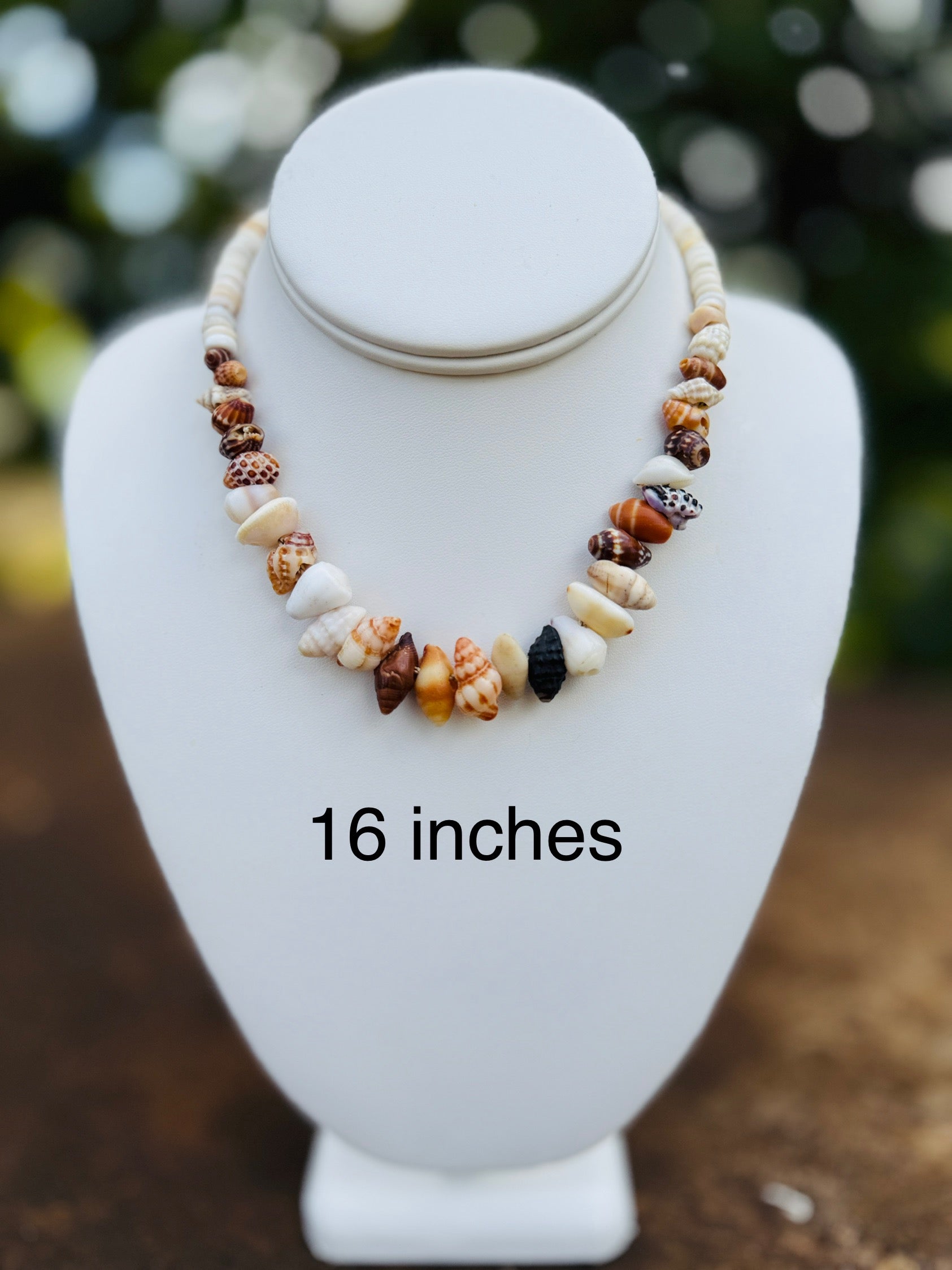 Plethora of Baby Shells