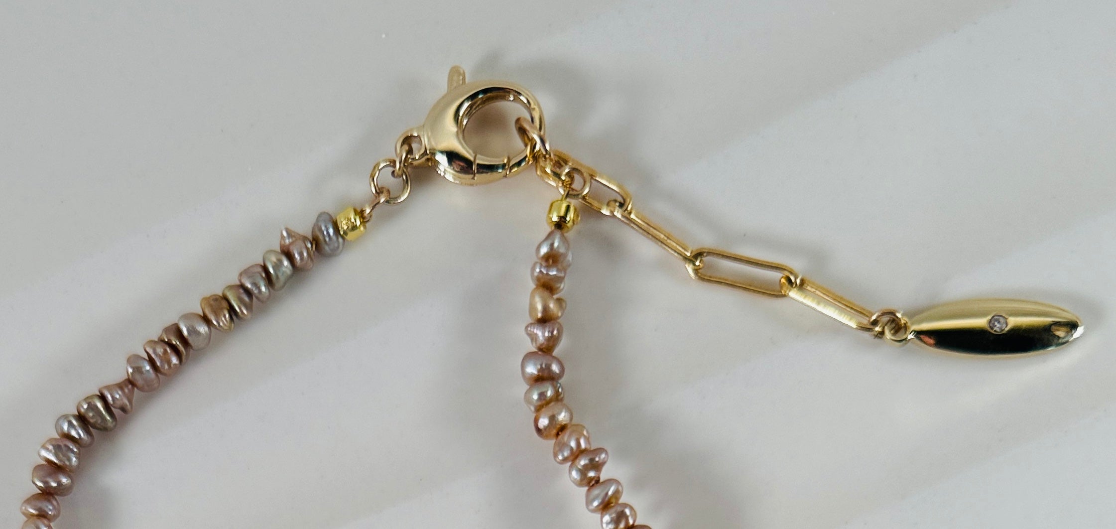 Champagne and Shells