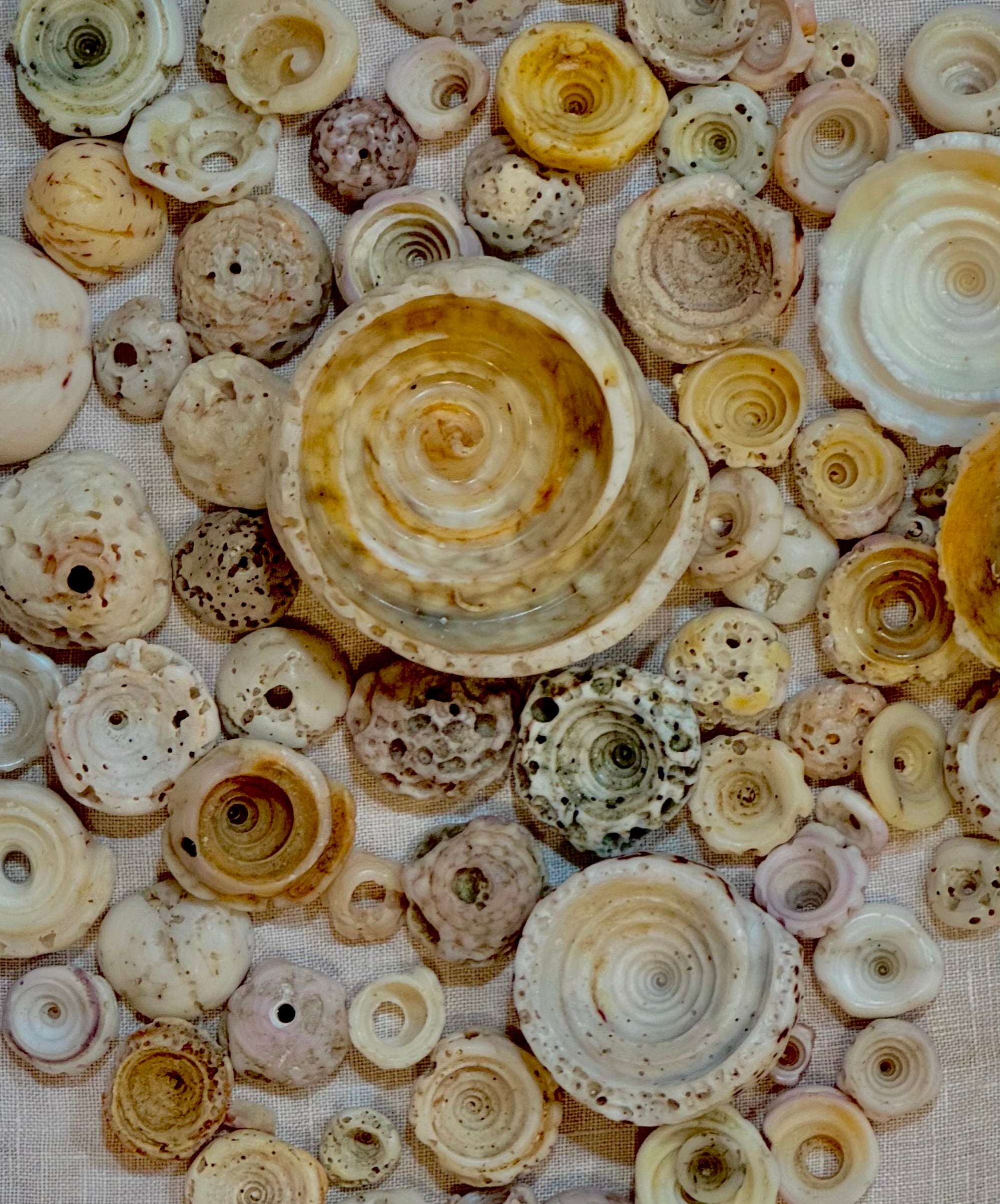 The Journey Collection