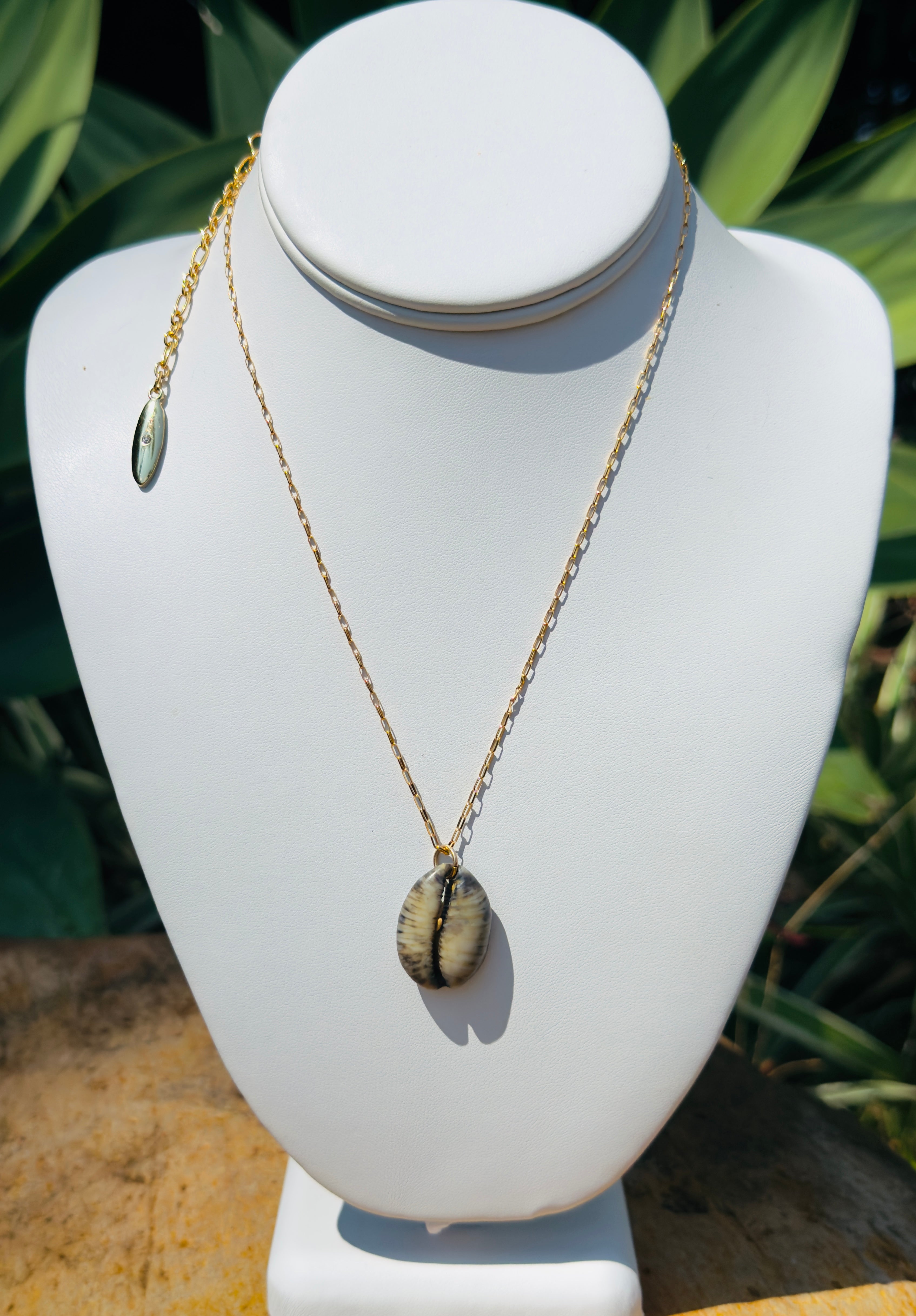 Shades of Gray from the Ocean