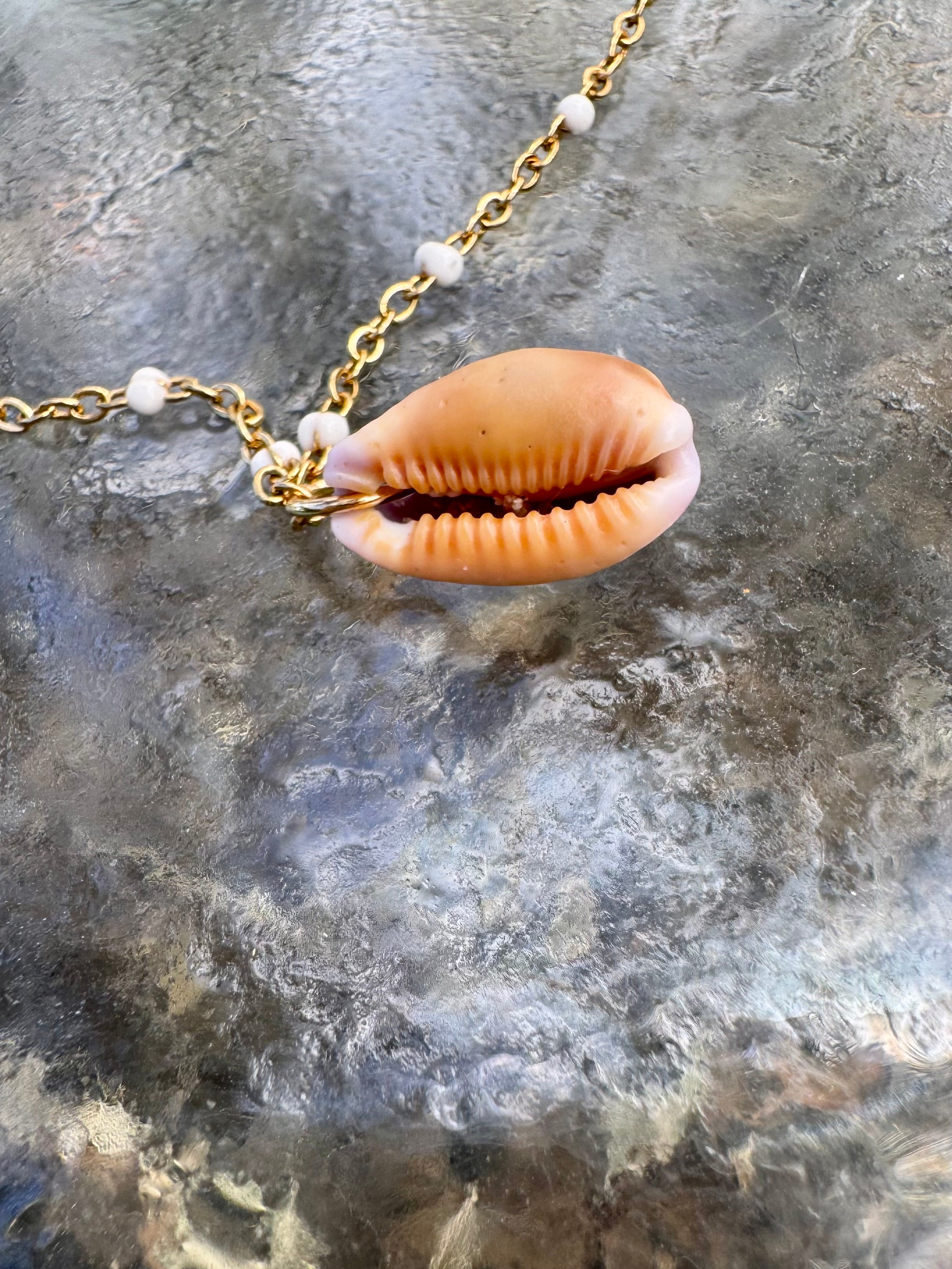 Three Little Shells Anklet or bracelet: Arctic Blue Glass, Brown Cone & Honey Cowry Shell