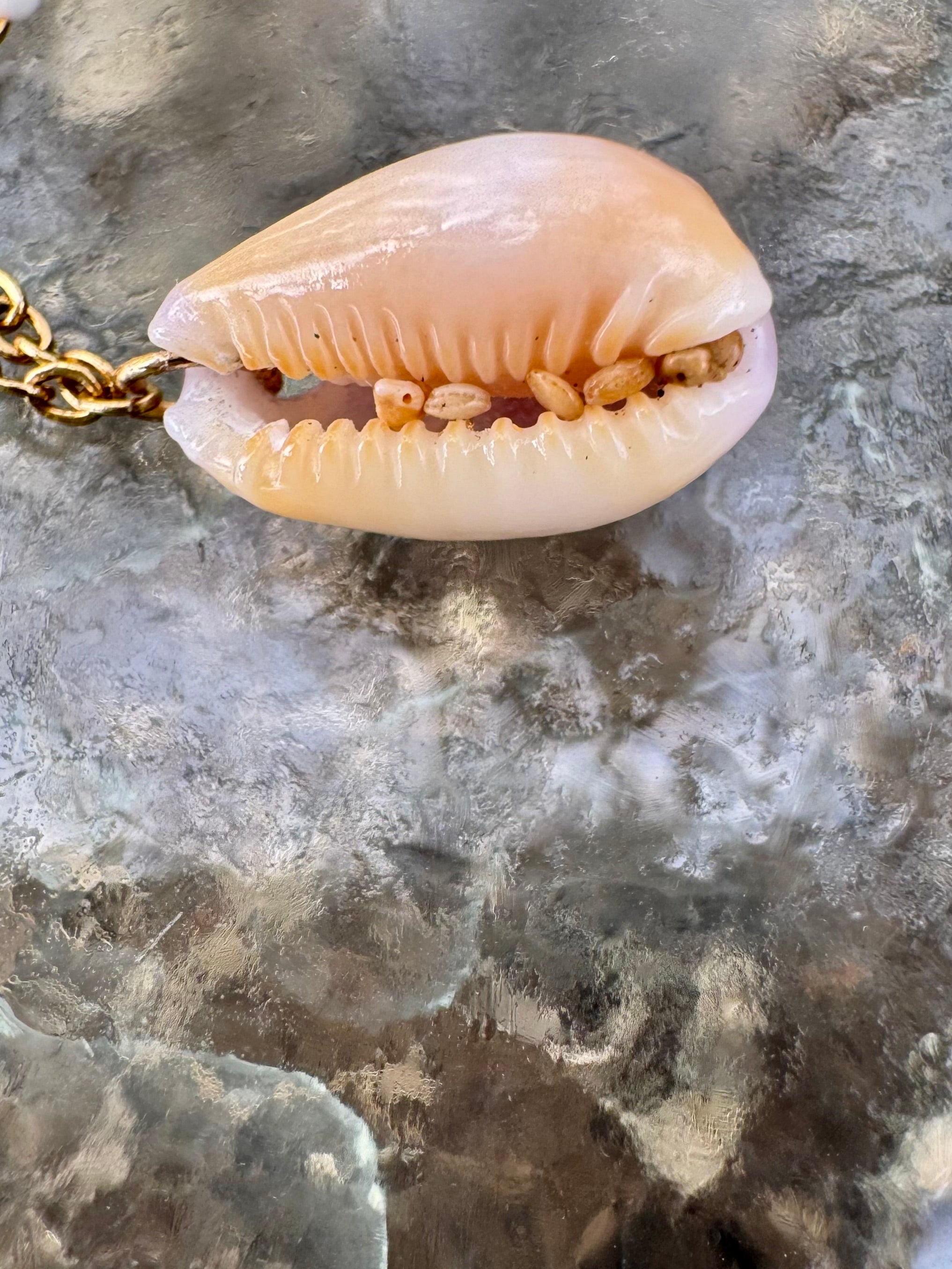 Three Little Shells Anklet or bracelet: White Cone, Olive Glass & Pink Cowry